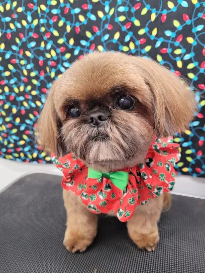 k-9 Designs Mobile pet Grooming — photo from their website