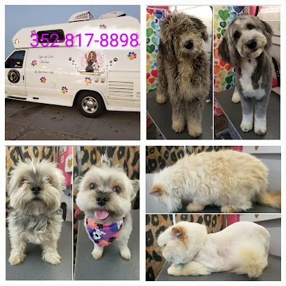 Boojie Paws LLC, Mobile Pet Spa — photo from their website