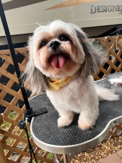 Pawcasso In-Home Dog Grooming — photo from their website