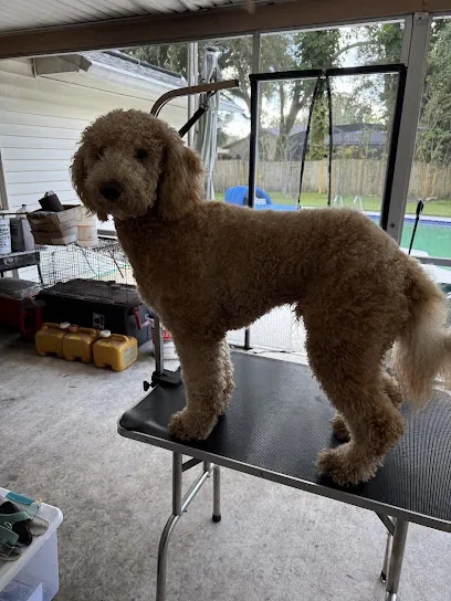 Furr-Ever Clean mobile pet spa — photo from their website