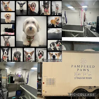 Pampered Paws Mobile Pet Spa — photo from their website
