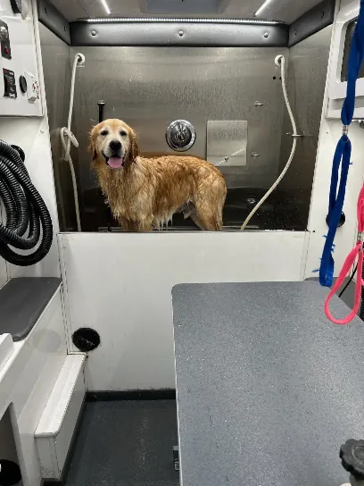 Naughty Dogs Mobile Grooming — photo from their website