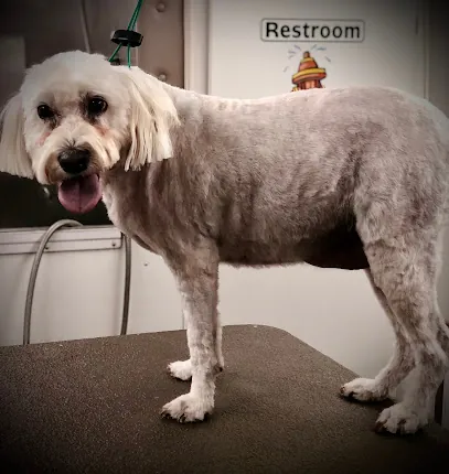 A Little Big Dog Mobile Pet Salon LLC — photo from their website