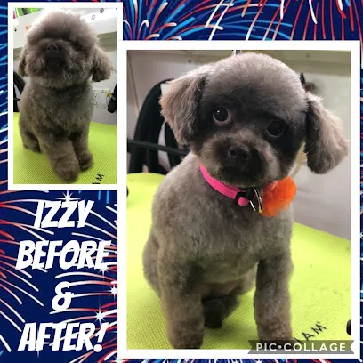 Makeover Rover Mobile Pet Grooming — photo from their website