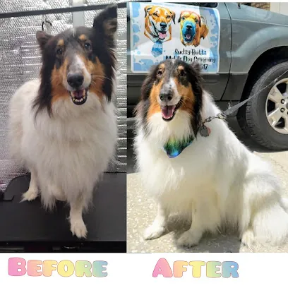 Sudsy Buttz Mobile Dog Grooming — photo from their website