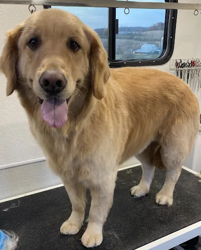 Fluff N Fuzz Mobile Dog Grooming — photo from their website