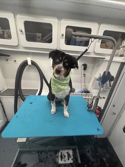 DapperTails Mobile Pet Grooming of Tarrant County — photo from their website