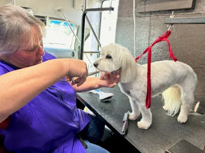 Suzanne's Mobile Pet Grooming — photo from their website