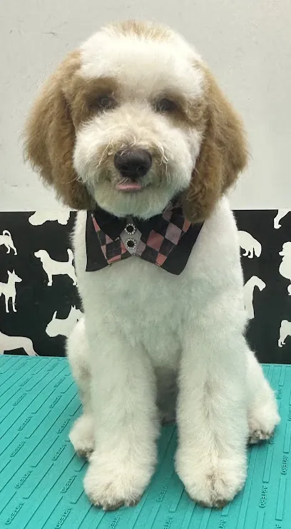 Kat's Mobile Dog Salon — photo from their website
