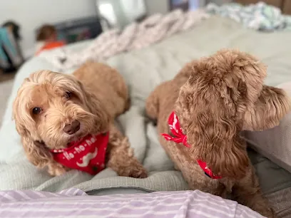 Tessi's Pet Grooming - Mobile DogSpaw — photo from their website