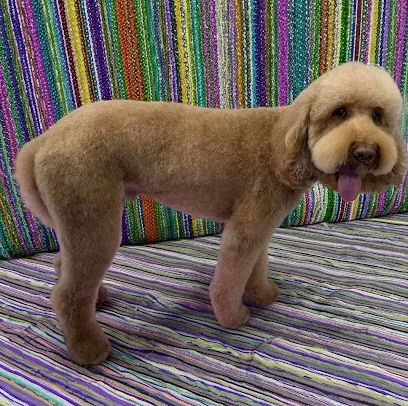 Prim and Pupper Mobile Grooming — photo from their website
