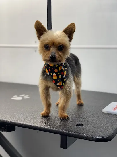 K9inc. Mobile Grooming — photo from their website