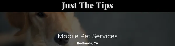 Just The Tips Mobile Pet Services — photo from their website