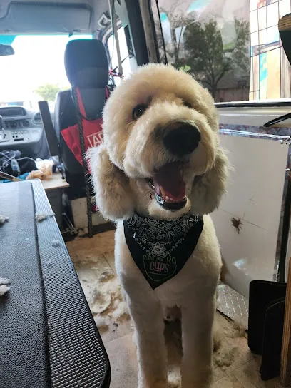 Cal's k9 Clips Mobile Dog Grooming — photo from their website