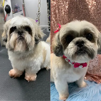 Elite Mobile Pet Salon — photo from their website