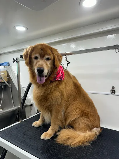 Dolphin Mobile Pet Grooming — photo from their website