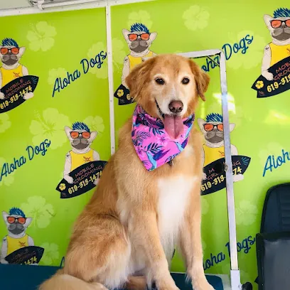 Aloha Dogs Mobile Grooming — photo from their website