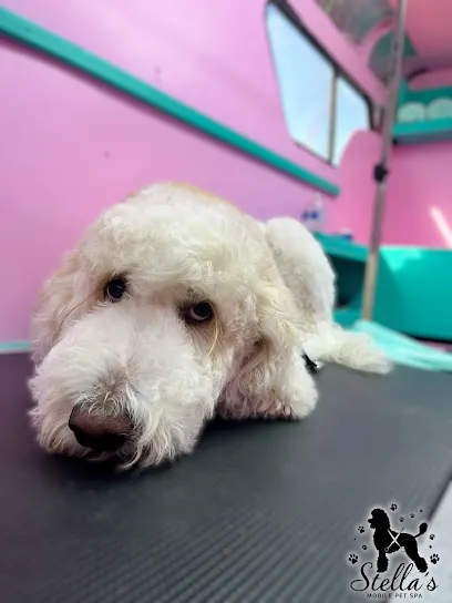 Stella’s Mobile Pet Spa — photo from their website