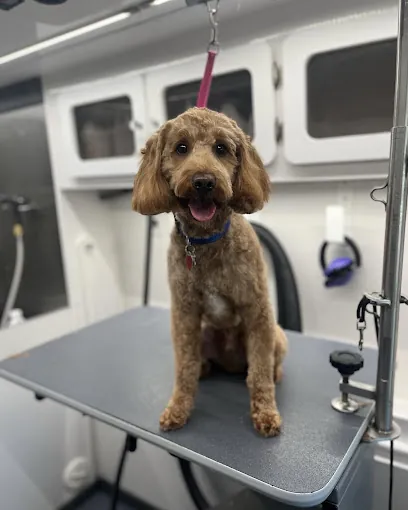 DapperTails Mobile Pet Grooming of North Tampa — photo from their website