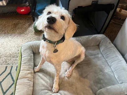 Pawbershop Mobile Dog Grooming — photo from their website