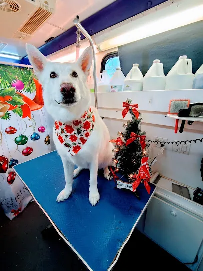 Nose to Toes Mobile Grooming, LLC — photo from their website