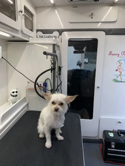 Fancy Paws HB Mobile Dog Grooming — photo from their website