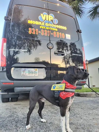 VIP grooming and sitting — photo from their website