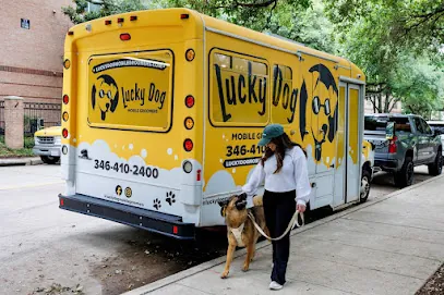 Lucky Dog Mobile Groomers - Connecticut — photo from their website