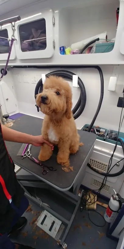 Nings Animal House Mobile Dog Groomer LLC — photo from their website