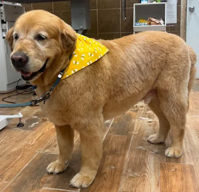 Mobile Grooming Pup Express — photo from their website