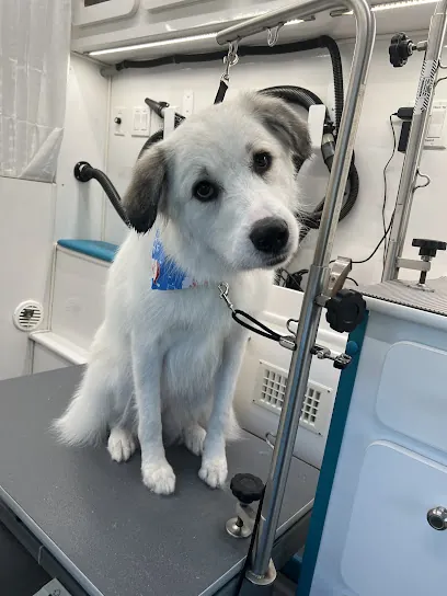 Deluxe Pups Mobile Pet Salon — photo from their website