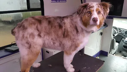 Fur On The Fly Mobile Pet Grooming — photo from their website