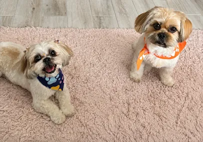 Lumay Mobile Grooming LLC — photo from their website