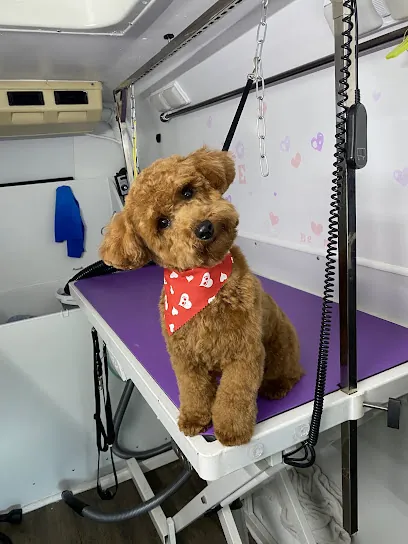 Mobile Dog Grooming Bows N Ties — photo from their website