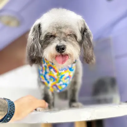 Jayz Clip n Clean Mobile Dog Grooming — photo from their website
