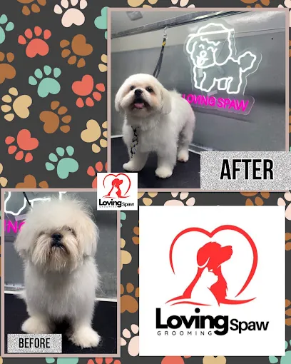loving spaw MOBILE GROOMING — photo from their website