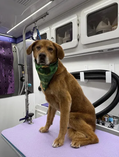 Bark Barber Mobile Spa — photo from their website