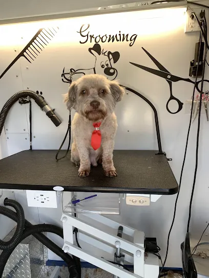 Adrys Mobile Grooming — photo from their website