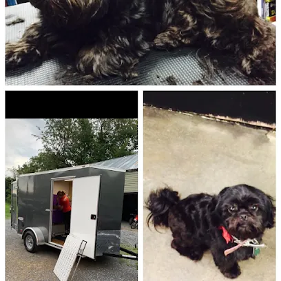 Furrsace Mobile Grooming — photo from their website