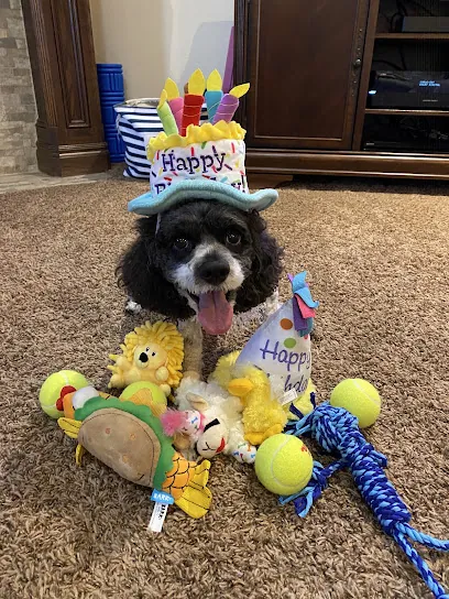 Pickle's Pet Parlor- Mobile Spa — photo from their website