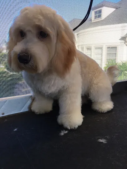 Grooming Stars - Mobile Dog Grooming — photo from their website