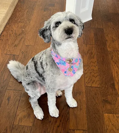 Patitas & Wet Noses Mobile Grooming — photo from their website