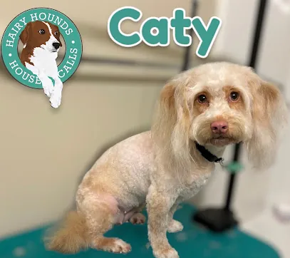 Hairy Hounds House Calls LLC — photo from their website