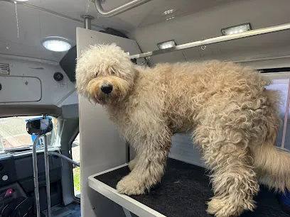 Art Pet Mobile Grooming — photo from their website