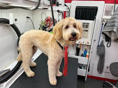 Furry Friends Mobile Grooming — photo from their website