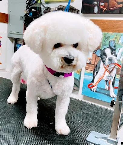Happy Tailwaggerz Mobile Pet Grooming — photo from their website