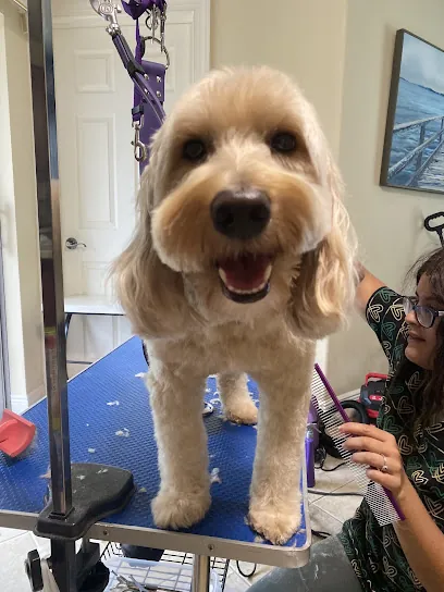 MoonStar Pet Spa LLC/ House Call Pet Service — photo from their website
