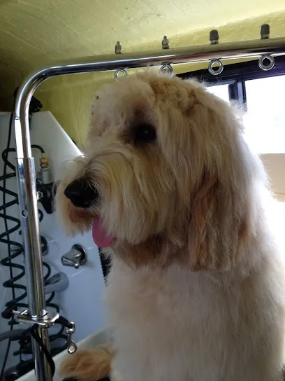 Wags N Whiskers Mobile — photo from their website