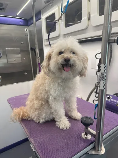 Dapper Dogs Mobile Grooming — photo from their website