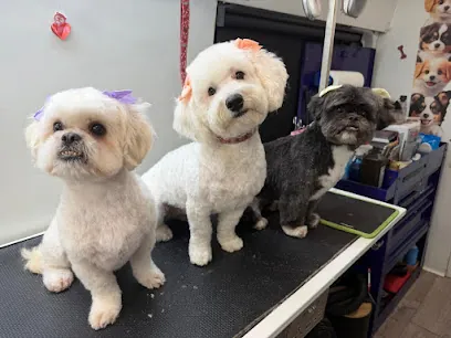 Dismevet Mobile Pet Grooming — photo from their website